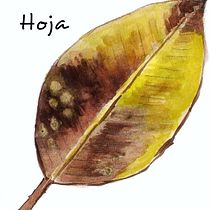 Mi Proyecto del curso: Ilustración botánica con acuarela. Ilustração tradicional, Artes plásticas, Pintura, Desenho, Pintura em aquarela e Ilustração botânica projeto de Amparo Muñoz - 03.06.2020