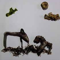 Mi Proyecto del curso: Las leyes de la percepción visual: unidad, peso, equilibrio y movimiento. Een project van  Creativiteit van Eva Llorca - 03.06.2020