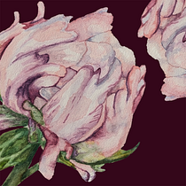 My Initial project . Ilustração botânica, e Pintura em aquarela projeto de Elihu Bruce Arzate - 05.06.2020