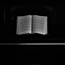 " EN LA MÚSICA VIVO, EN LA MÚSICA MUERO ". Photograph project by Guido Ezequiel Valenzuela Pradier - 06.05.2020