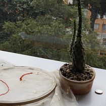 Mi Proyecto del curso: Creación y edición de contenido para Instagram Stories.  project by tatiana94 - 06.06.2020
