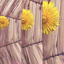 Mi Proyecto del curso: Pandereza 19. Mobile Photograph project by Javiera Rojas Neira - 06.08.2020