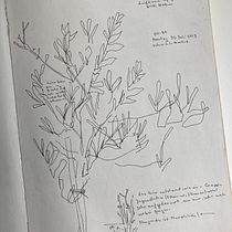 Mein Kursprojekt: Zeichnen für Anfänger Niveau -1. Realistic Drawing, Sketching, and Drawing project by Julia Stano - 06.08.2020
