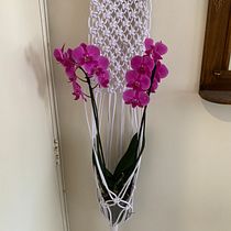 Meu projeto do curso: Design de acessórios em macramê. Un proyecto de Macramé de Patricia Laubino Borba Rodegher - 08.06.2020