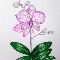 Mi Proyecto del curso: Ilustración botánica con acuarela. Pintura em aquarela projeto de Daniela Zamora Escamilla - 09.06.2020