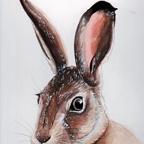 Mi Proyecto del curso: Liebre. Traditional illustration project by Teresa Romero - 06.09.2020