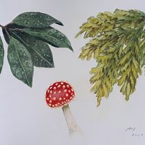 Meu projeto do curso: Caderno botânico em aquarela. Un progetto di Illustrazione tradizionale, Illustrazione botanica e Illustrazione con inchiostro di Ana Rocha - 13.06.2020