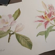 Meu projeto do curso: Ilustração botânica com aquarela. Pintura em aquarela projeto de carolinesze - 10.06.2020