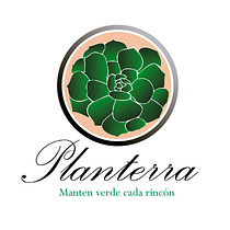 Mi Proyecto del curso; Planterra. Arts, Crafts, and Decoration project by rchalque_biologiaunam - 06.16.2020