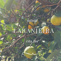 º N A T U R A º. Mobile Photograph, and Product Photograph project by Maria Sadovsky • - 06.21.2020