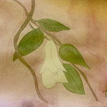 Mi Proyecto del curso: Copihue blanco y hongos silvestres Ein Projekt aus dem Bereich Aquarellmalerei von Gilda Carrasco - 22.06.2020