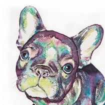 Roncho: El bulldog francés 🐶❤️. Pencil Drawing, and Watercolor Painting project by Primolae - 09.01.2020