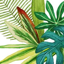Mi Proyecto del curso: Técnicas aplicadas de ilustración en acuarela. Un progetto di Illustrazione tradizionale, Illustrazione botanica, Lettering e Pittura ad acquerello di Laura C Fletcher Briñez - 17.06.2020