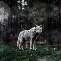 Meu projeto do curso: Segredos da fotomontagem e do retoque criativo. Photomontage project by dudubartelle - 06.18.2020