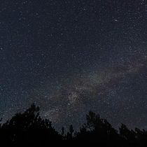Resultados del revelado. Un projet de Photographie extérieure de Alfonso Hernandez - 18.06.2020