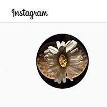 Mi Proyecto del curso: Estrategias de Instagram para desarrollo de marcas. Un progetto di Instagram e Social media di Manuel - 18.06.2020