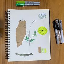 Mi Proyecto del curso: Cuadernos de dibujo: encuentra un lenguaje propio. Un proyecto de Bellas Artes, Creatividad, Dibujo, Dibujo artístico e Ilustración tradicional de Victoria Robaina - 02.09.2020