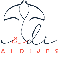 Madi Maldives- A tropical sports apparel company. Projekt z dziedziny Br, ing i ident i fikacja wizualna użytkownika Ibrahim Zain Waleed - 23.06.2020