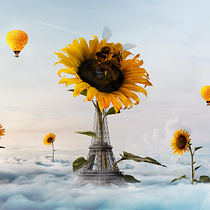 Surrealistic Photomontage with Photoshop  Ein Projekt aus dem Bereich Fotografische Komposition von bruna_ap_lucas - 24.06.2020