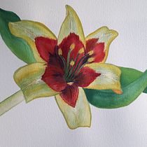 Mi Proyecto del curso: Ilustración botánica con acuarela. Artes plásticas projeto de María Jesús Hernández Hernando - 22.08.2020