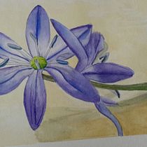 My project in Botanical Watercolor Sketchbook course. Un progetto di Illustrazione botanica di jechon7 - 27.06.2020