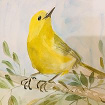 Mi Proyecto del curso: Ilustración botánica con acuarela. Artes plásticas projeto de IVONNE SOZA - 29.06.2020
