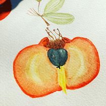 Mi Proyecto del curso: Ilustración botánica con acuarela. Botanical Illustration project by Pamela Carrasco - 07.06.2020