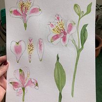 Mi Proyecto del curso: Ilustración botánica con acuarela. Ilustração tradicional, Pintura, e Pintura em aquarela projeto de Carolina Bottino - 01.07.2020