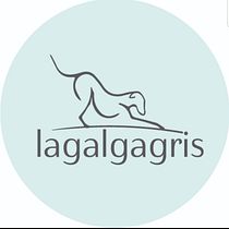 Proyecto ☆ La Galga Gris. Arts, Crafts, and Sewing project by marigamero18 - 07.01.2020