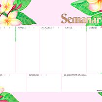 Mi Proyecto del curso: Frangipani. Ilustração editorial, Ilustração botânica, e Pintura em aquarela projeto de dianacardenaspinzon - 05.01.2021
