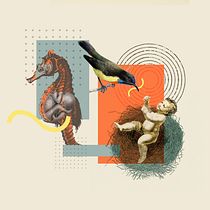 My project in Digital Collage for Editorials course. Design, Design digital e Ilustração digital projeto de Aisvarya Chandrasekar - 03.07.2020