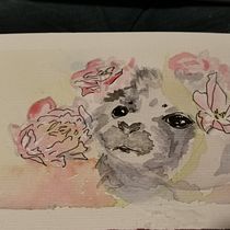 My project in Experimental Watercolor Techniques for Beginners course: seals!. Watercolor Painting project by kscolumn - 07.05.2020