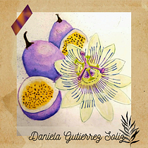 Mi Proyecto del curso: Ilustración botánica con acuarela. Traditional illustration, Fine Arts, Painting, Drawing, Watercolor Painting, and Botanical Illustration project by Daniela Gutierrez - 12.02.2022