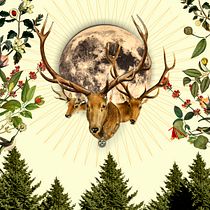 Mi Proyecto del curso: Ilustración con collage digital enfocado a producto. Design digital projeto de Oscar Leonardo Cajamarca Troncoso - 05.07.2020