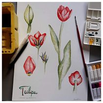Meu projeto do curso: Ilustração botânica com aquarela. Artes plásticas, Ilustração botânica e Ilustração com tinta projeto de Vanessa S. Ximenes - 06.07.2020