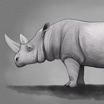 Mi Proyecto del curso: Ilustración naturalista de animales con Procreate. Ilustração tradicional, Ilustração digital, Desenho realista, Ilustração naturalista, Desenho digital, Pintura, e Pintura digital projeto de Ruth Reuveni - 05.07.2020