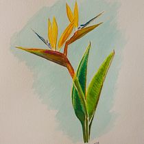 Mi Proyecto del curso: Ilustración botánica con acuarela. Artes plásticas projeto de Nancy Nava-Castro - 09.07.2020