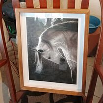 Mi proyecto es Camina libre una copia del original: pastel sobre tabla, una obra de Edith Ruiz, artista mexicana.. Un projet de Dessin réaliste de Elvira Esparza - 11.07.2020