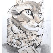 Mi Proyecto del curso: Animales característicos :3 . Watercolor Painting project by Anabel Guevara Ramírez - 10.10.2020