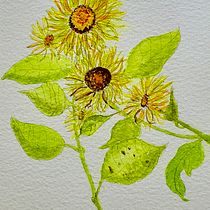 My project in Botanical Watercolor Sketchbook course. Un progetto di Illustrazione botanica di jacqui_hey - 21.08.2020