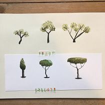 My project in Drawing for Beginners Level -1 course. Drawing project by Maria Tim - 07.15.2020
