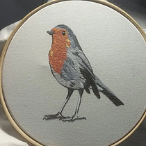 Meu projeto do curso: Pintar com linha: técnicas de ilustração têxtil. Bordado e Ilustração tradicional projeto de Suellen Ribeiro - 15.07.2020