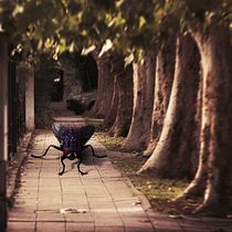 Mi Proyecto del curso: Fotomontaje surrealista con Photoshop  Ein Projekt aus dem Bereich Fotografie von Damian Radice - 16.07.2020