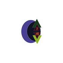 Mi Proyecto del curso: Creación de un logotipo original desde cero. Projekt z dziedziny R, sunek c i frow użytkownika Ricardo Víquez Monge - 20.07.2020