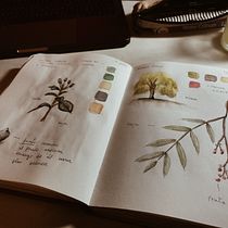 My project in Botanical Watercolor Sketchbook course. Un progetto di Pittura ad acquerello di emiliachavezz - 16.07.2020