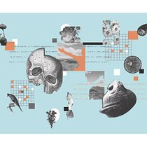 Mi Proyecto del curso: Collage digital para medios editoriales. Colagem, Desenho digital, Design de acessórios, Design digital, Design gráfico e Ilustração tradicional projeto de marina bellofiore - 18.07.2020