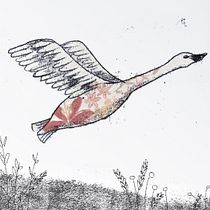 Mi Proyecto del curso: Experimentación gráfica para relatos ilustrados. Traditional illustration project by Lila Aquilicun - 07.18.2020