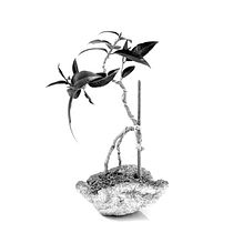 Mi Proyecto del curso: Fotolibros: conceptualización y materialidad. Projekt z dziedziny Fotografia użytkownika mgoymil - 19.07.2020