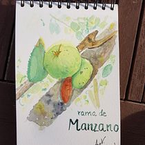 Proyecto de ana5059: Cuaderno botánico en acuarela. Un progetto di Illustrazione botanica di ana5059 - 19.07.2020