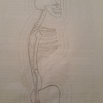 Mi Proyecto del curso: Dibujo anatómico para principiantes Ein Projekt aus dem Bereich Skizzenentwurf von HANNAH DAVILA - 20.07.2020